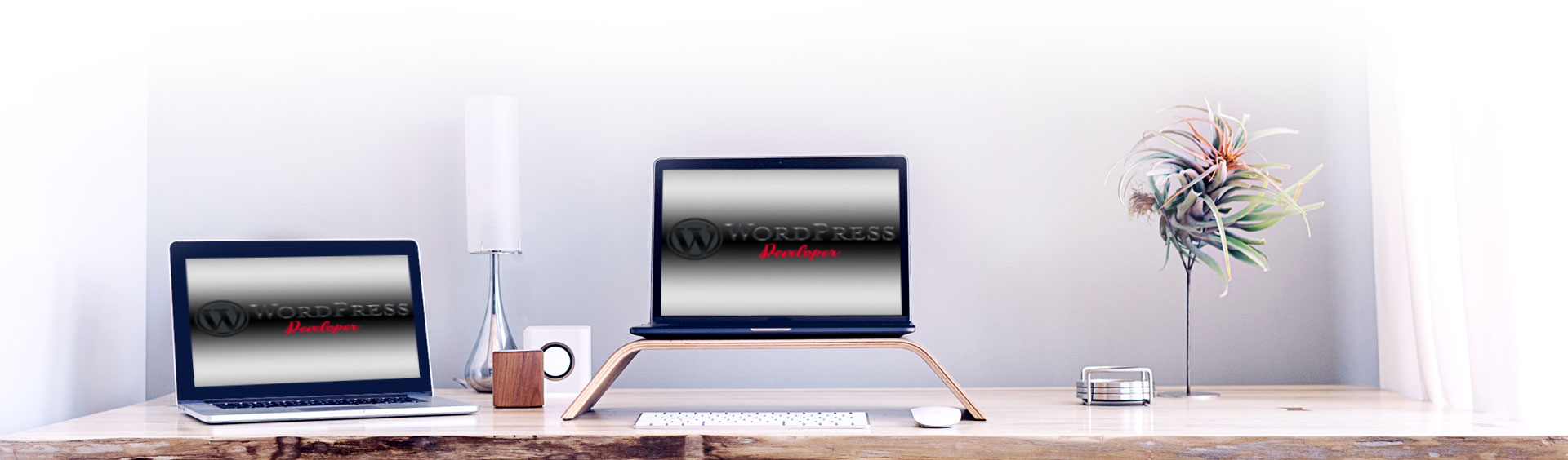 wordpress web development service