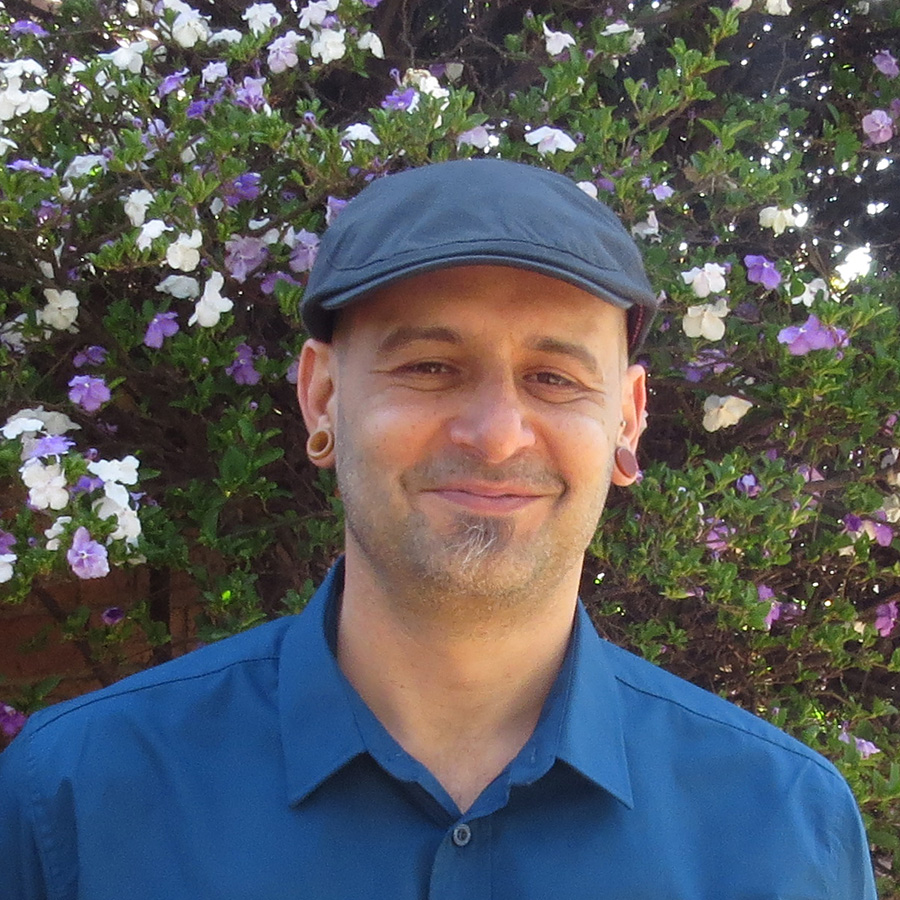 freelance wordpress developer